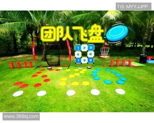 飞盘战术解析：上海飞盘队高效转换体系的深度剖析与应用探讨